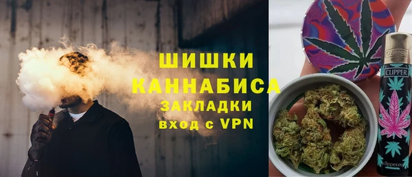 PSILOCYBIN Костерёво