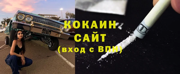 прущие грибы Кулебаки
