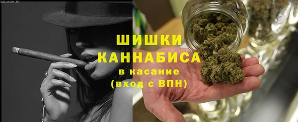 стафф Коряжма