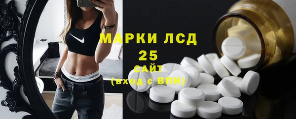 твердый Краснослободск
