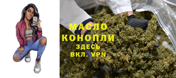 твердый Краснослободск