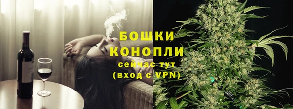 PSILOCYBIN Костерёво